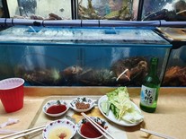 술 한잔??