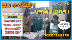 새벽 배송일자리중 최고수익?? [여기일자리 모르면 손해