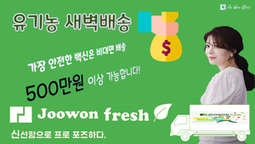 새벽 배송으로 500만원 이상 소득 [가장 안전한 백신